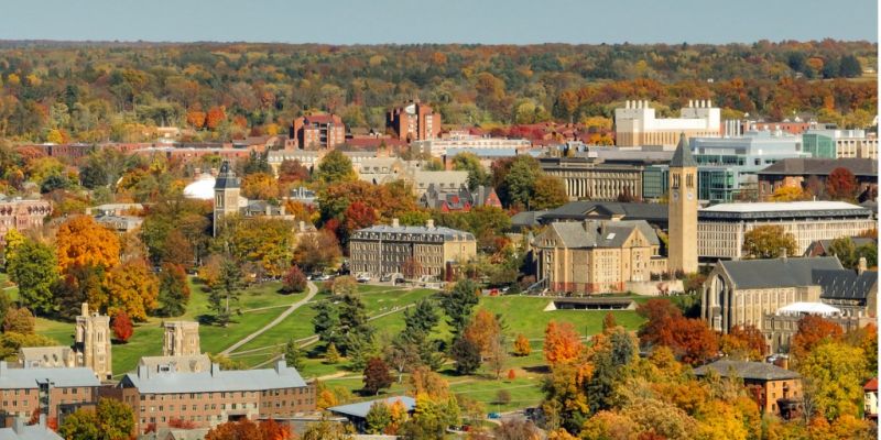 Best Bathroom Remodeling pros in Ithaca, NY